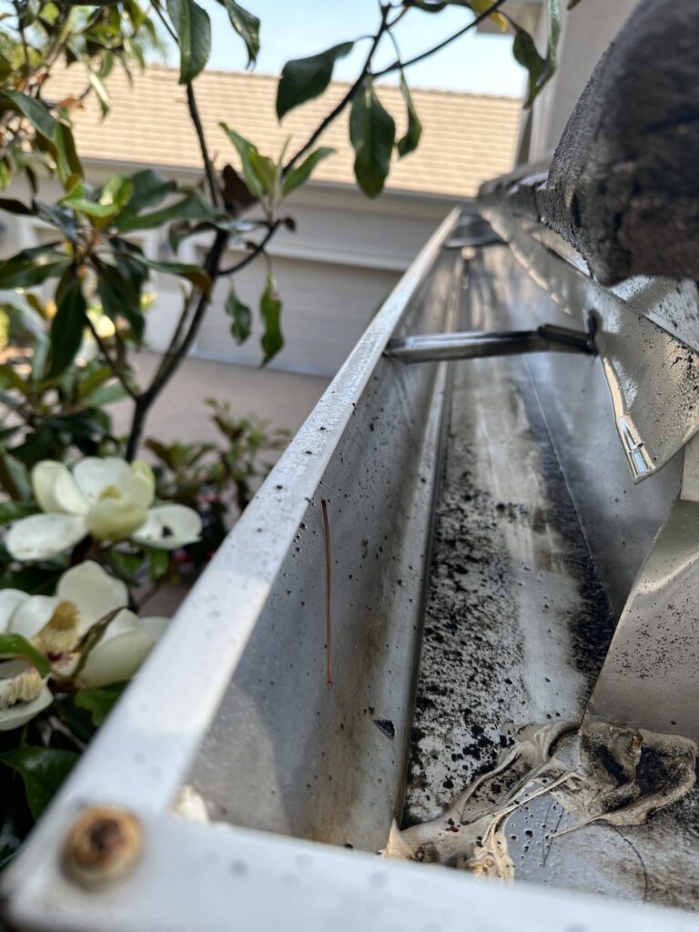 Delivering Clean Spaces