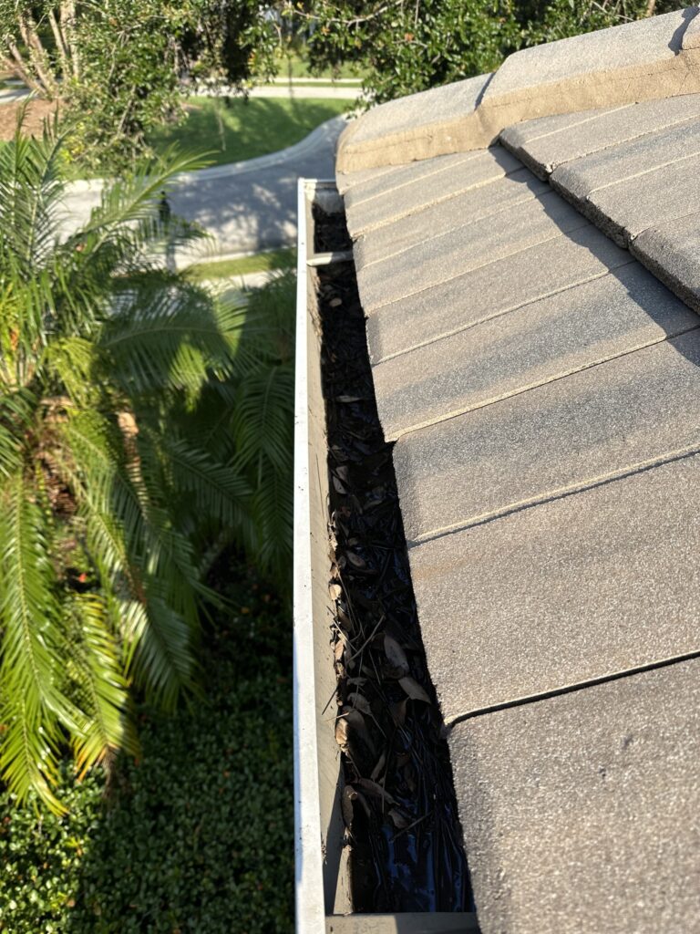 Transforming Homes And Surfaces With Professional Cleaning Expertise