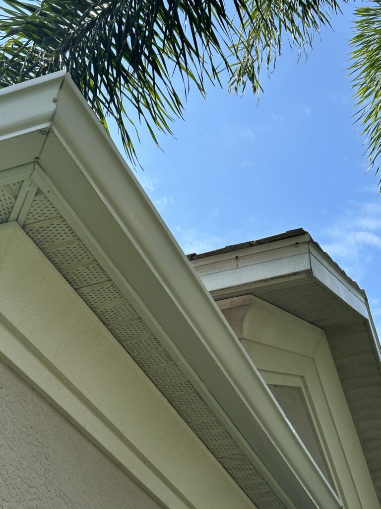 roof washing services
